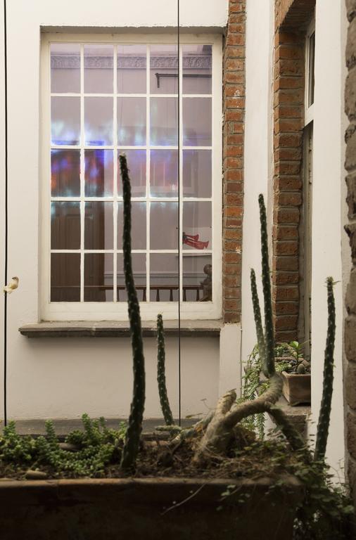El Patio 77 B&B Mexico Extérieur photo
