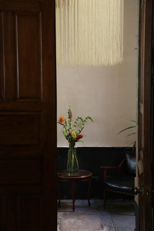El Patio 77 B&B Mexico Extérieur photo